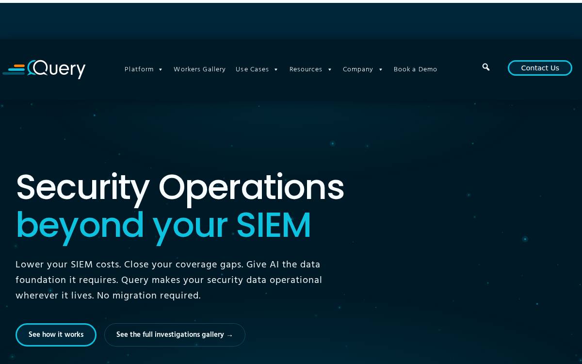 Query Ai website preview