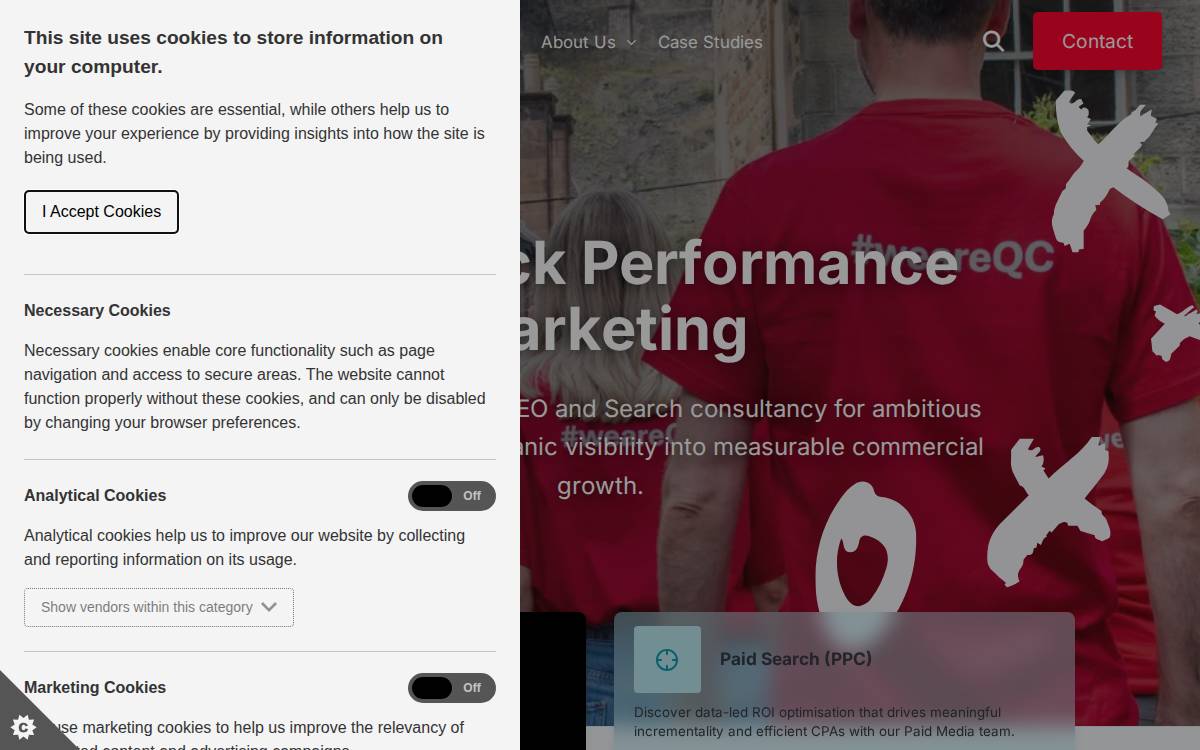 QueryClick website preview