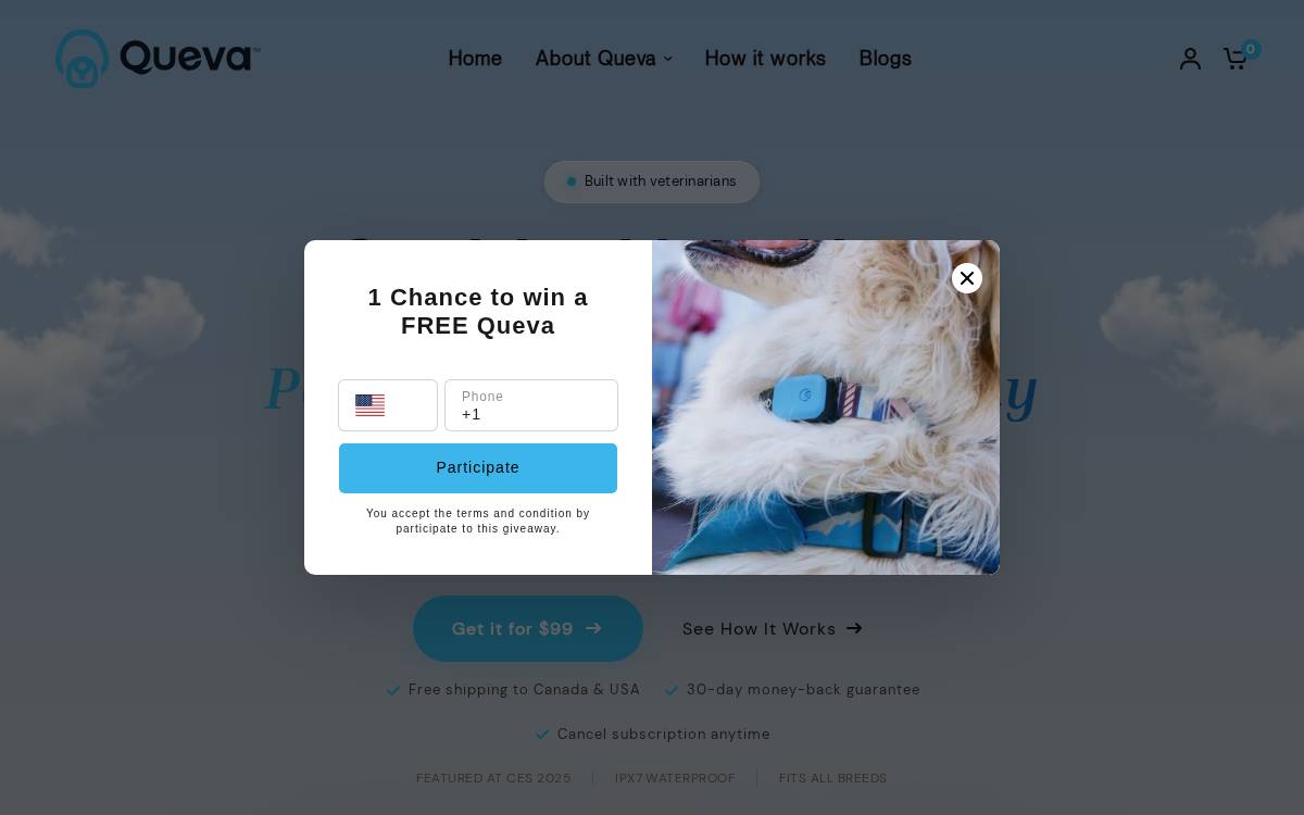 Queva website preview
