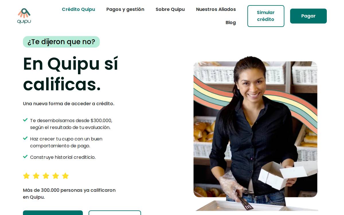 Quipu website preview