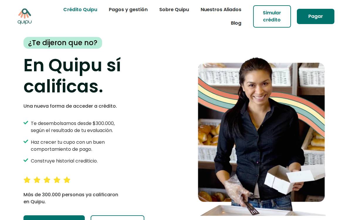 Quipu website preview