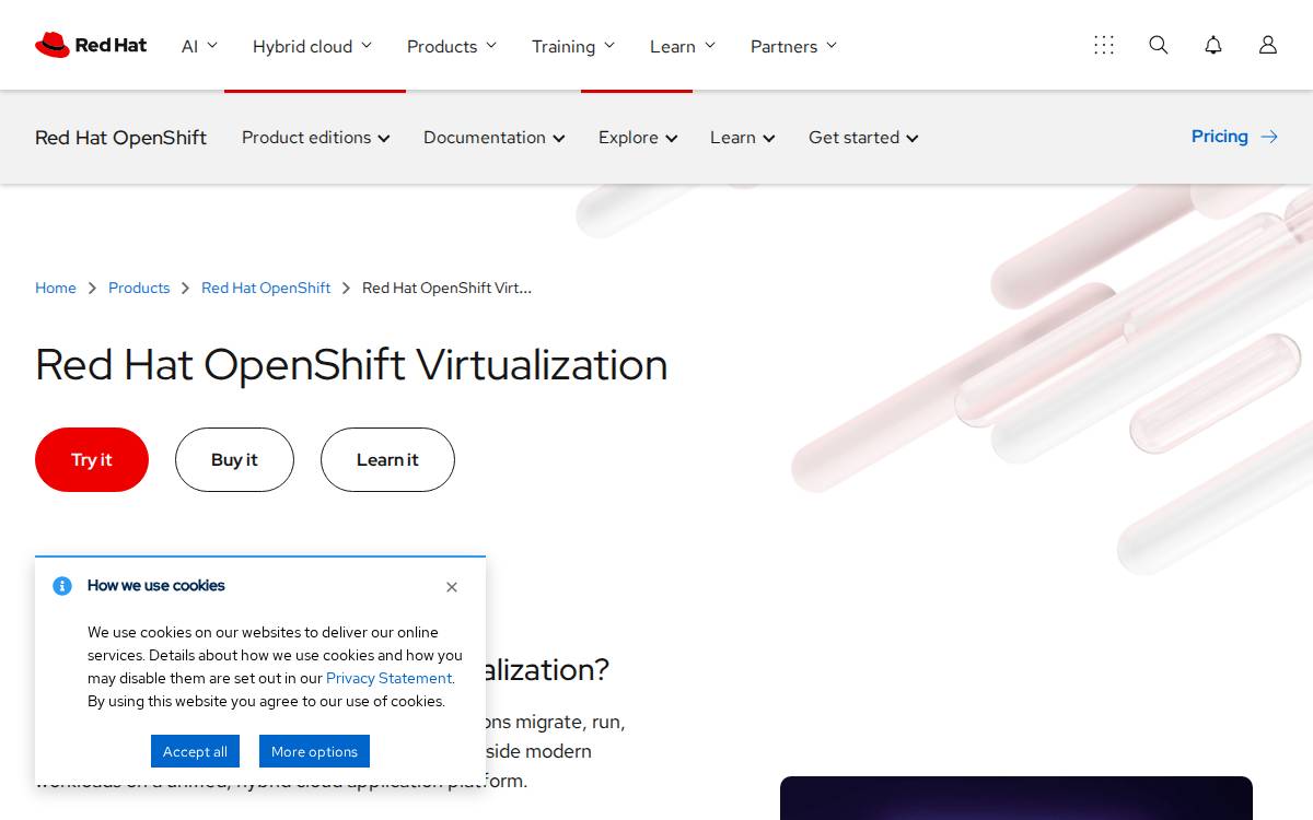Qumranet website preview