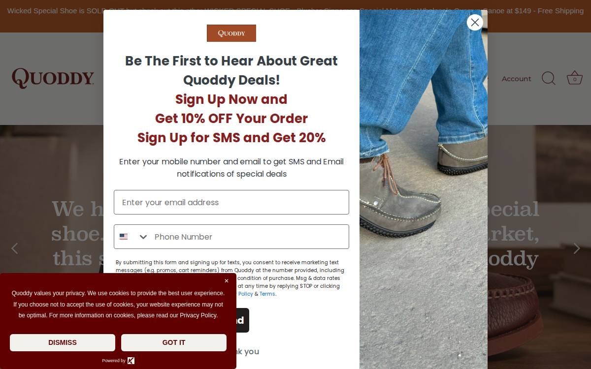 Quoddy website preview