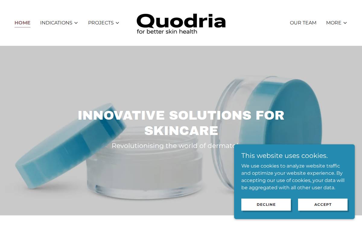 Quodria website preview