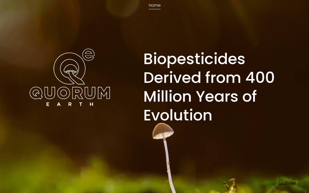 Quorum Earth website preview