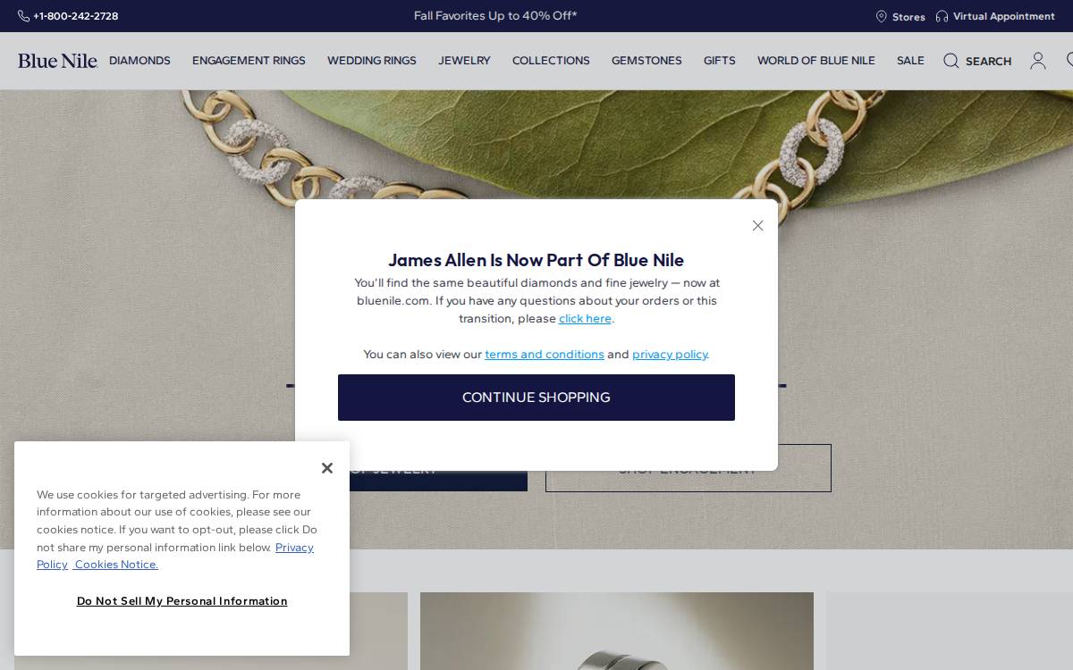 R2NET website preview