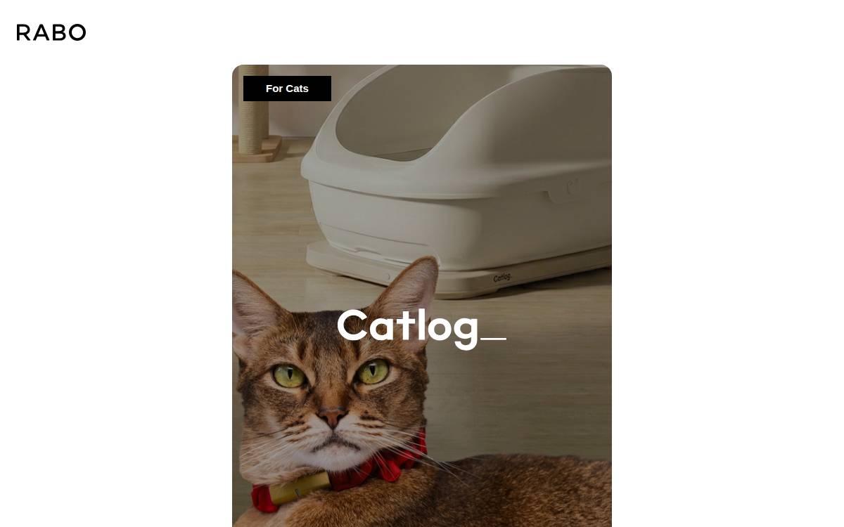 株式会社RABO website preview