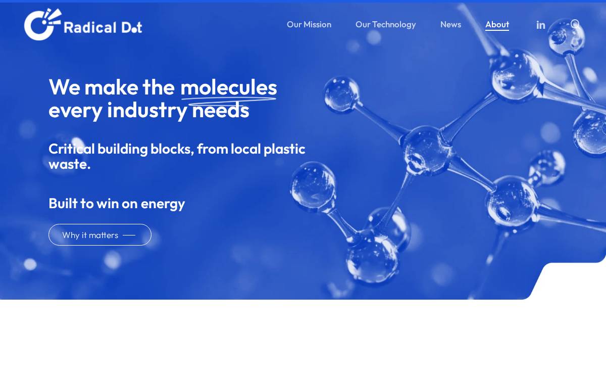 Radical Dot website preview