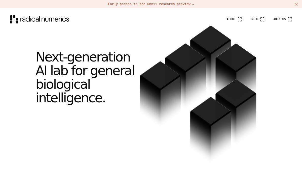 Radical Numerics website preview