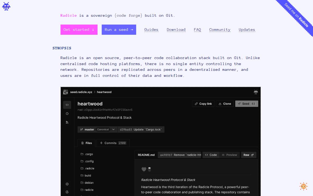 Radicle website preview
