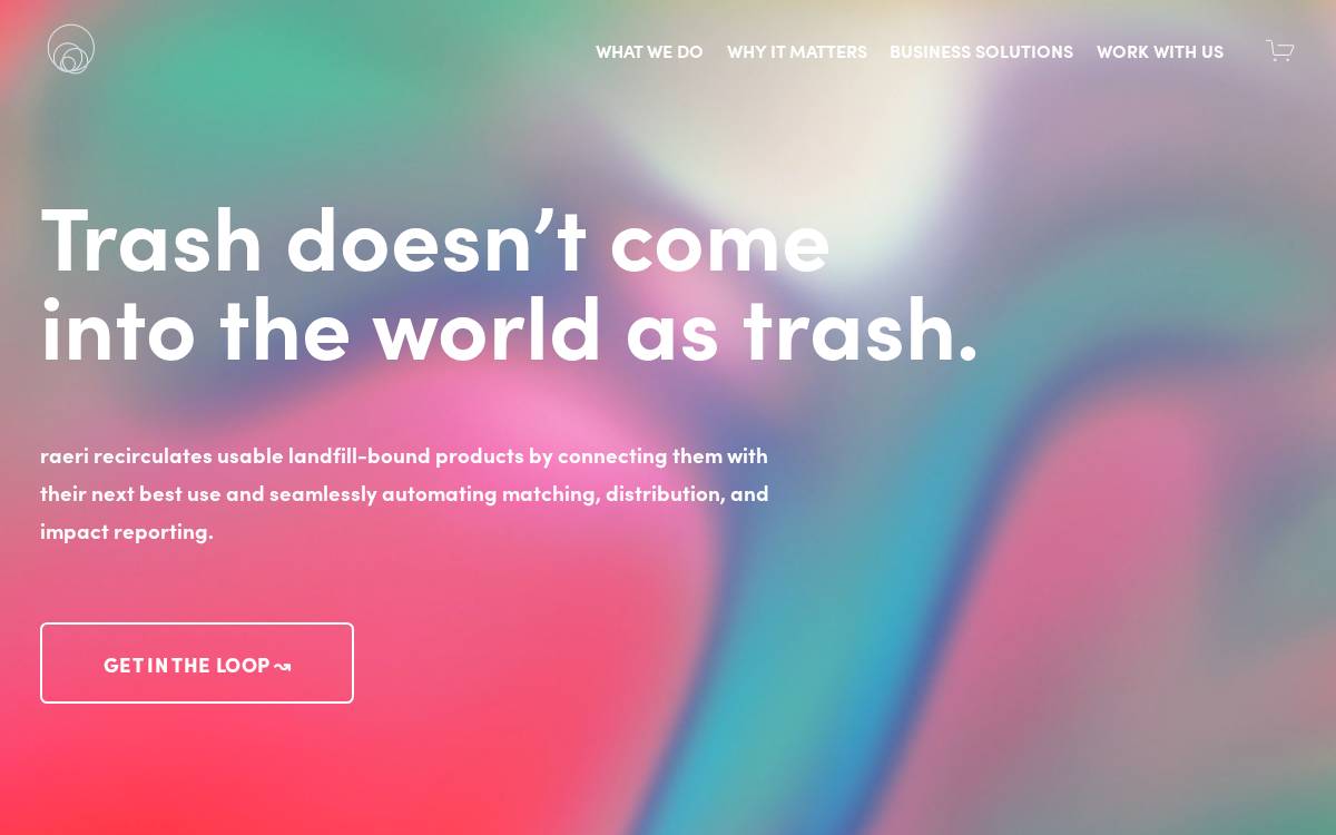 Raeri website preview