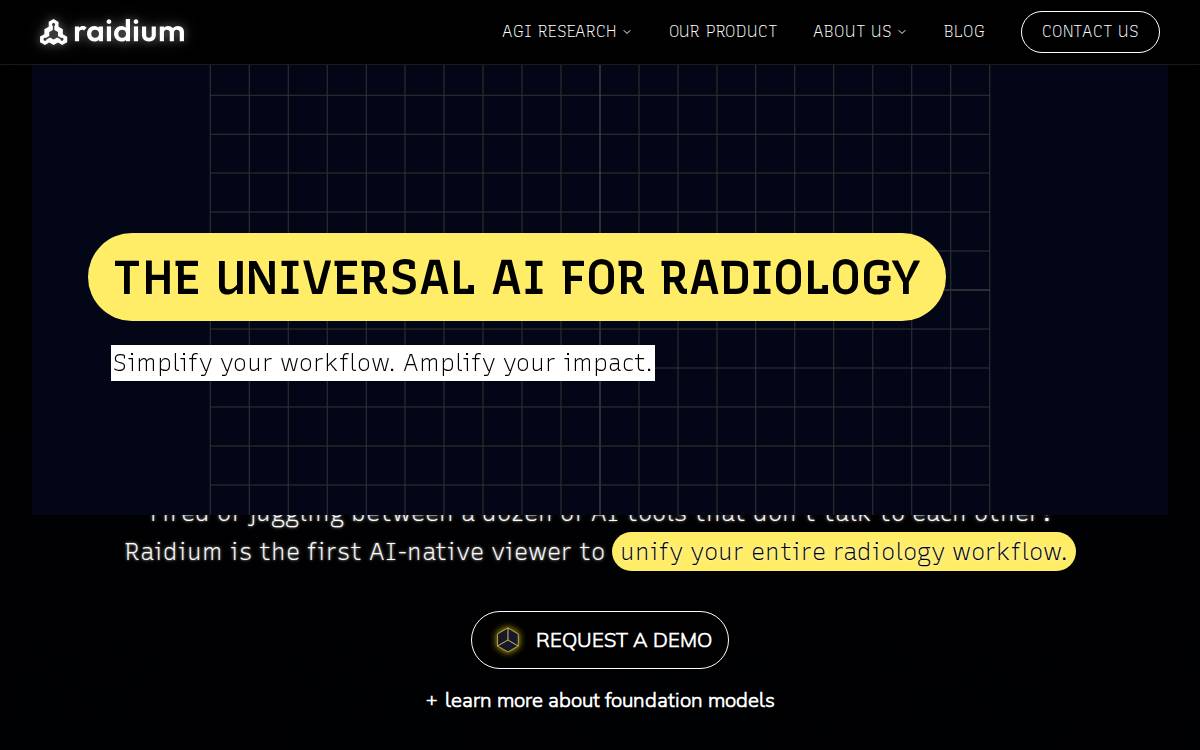 Raidium website preview