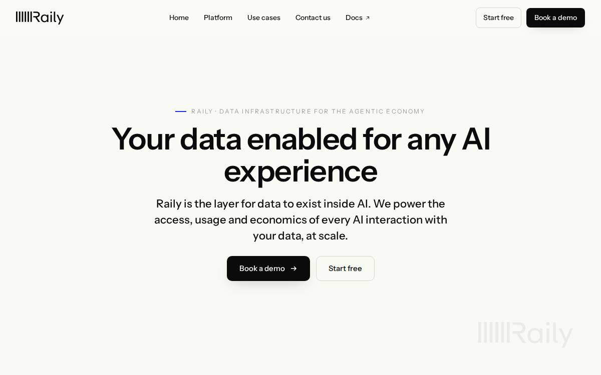Raily website preview