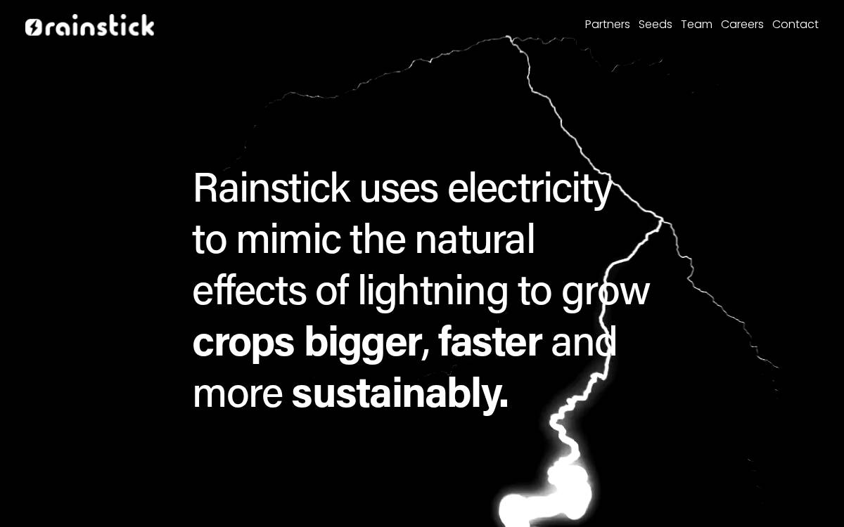 Rainstick website preview