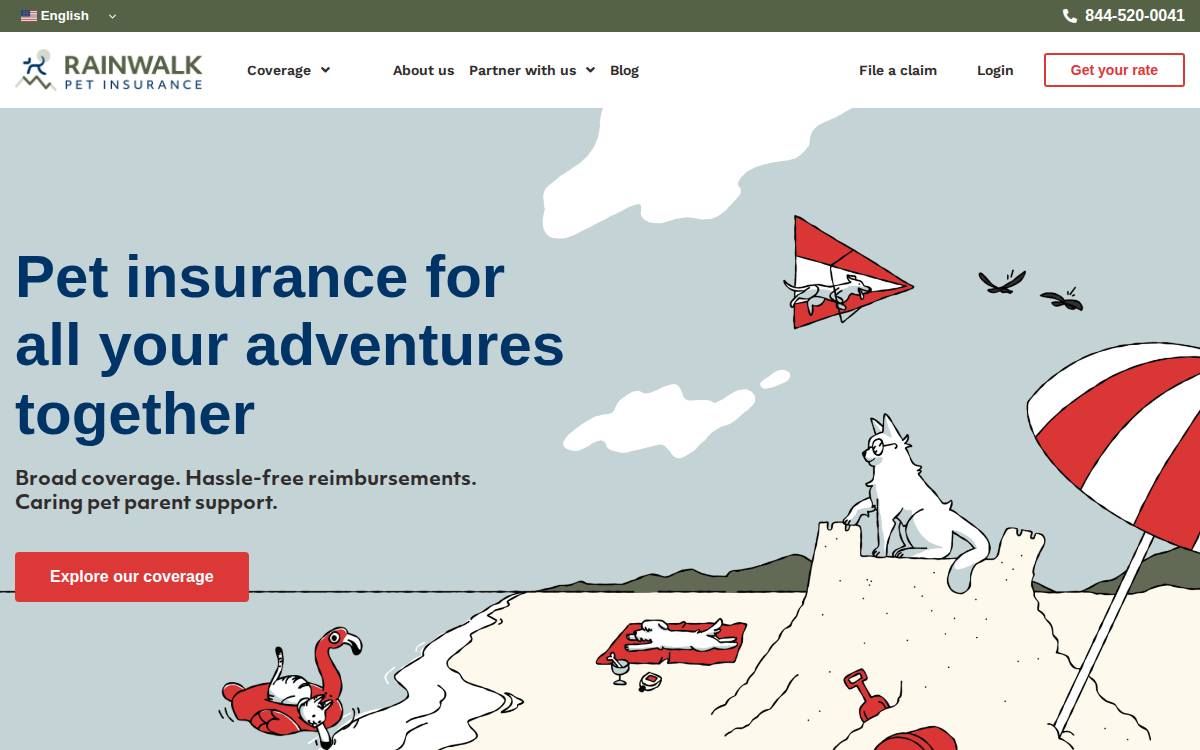 Rainwalk Technology website preview