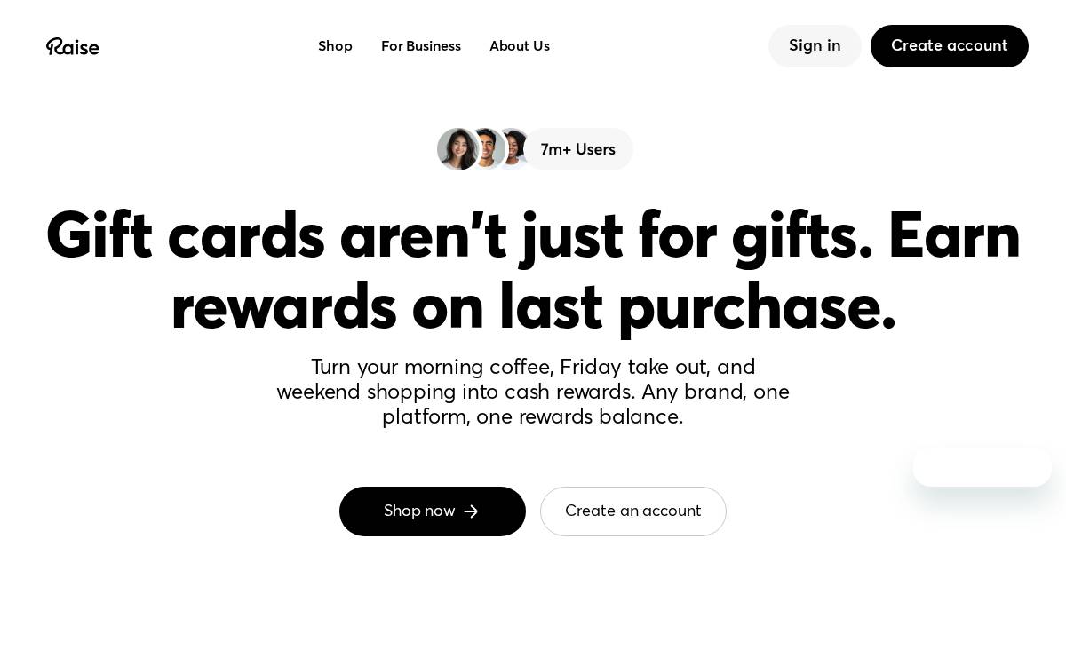 Raise website preview