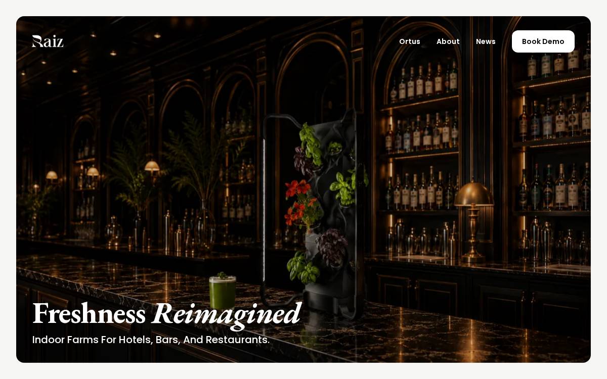 Raiz website preview
