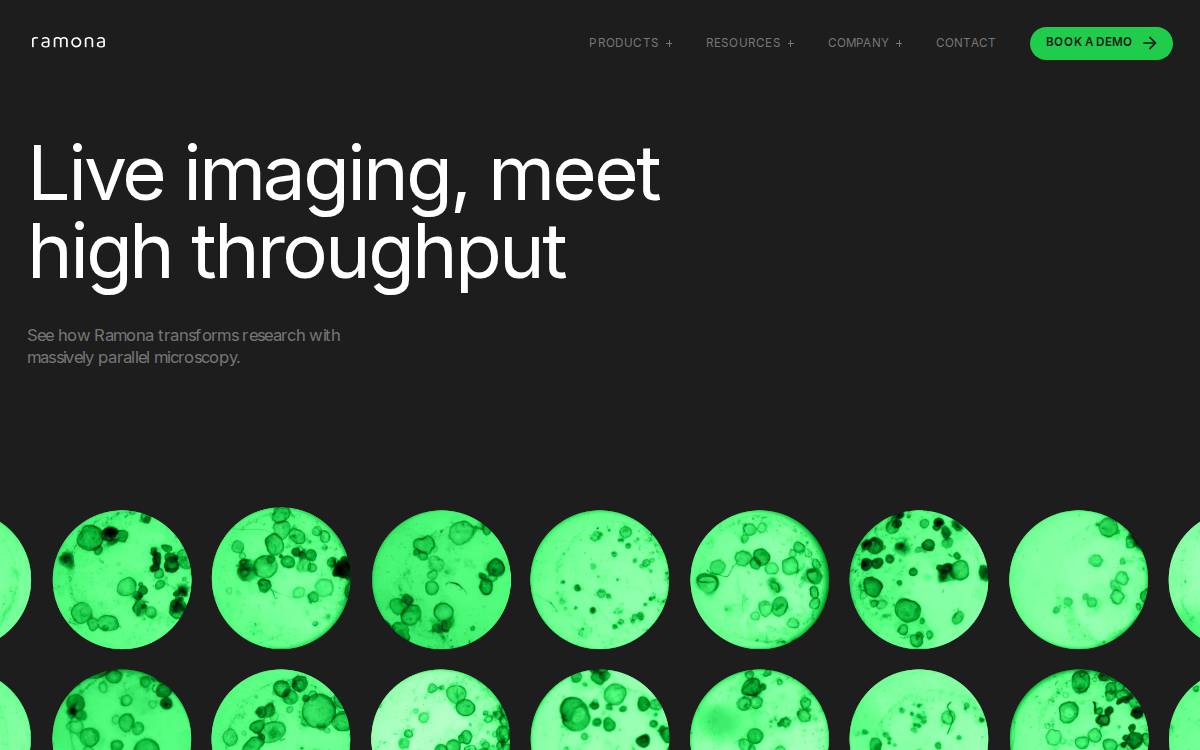 Ramona Optics, Inc. website preview