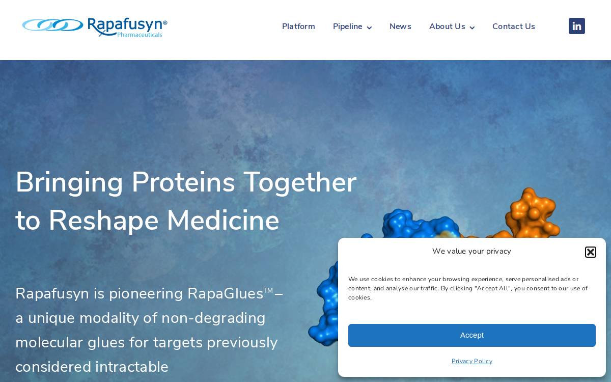 Rapafusyn website preview
