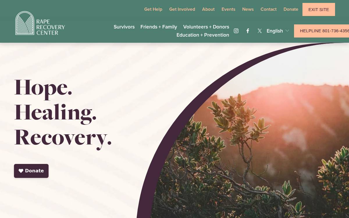 Raperecoverycenter website preview