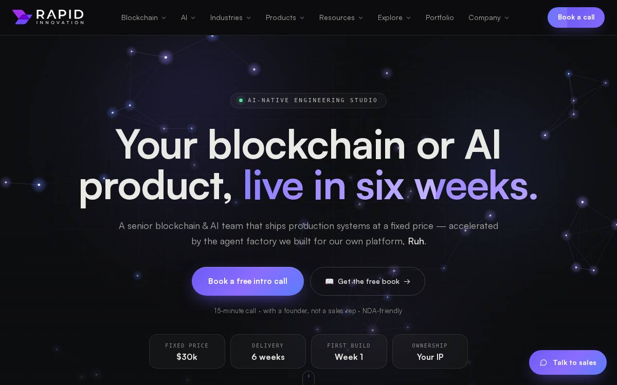 Rapid Innovation website preview