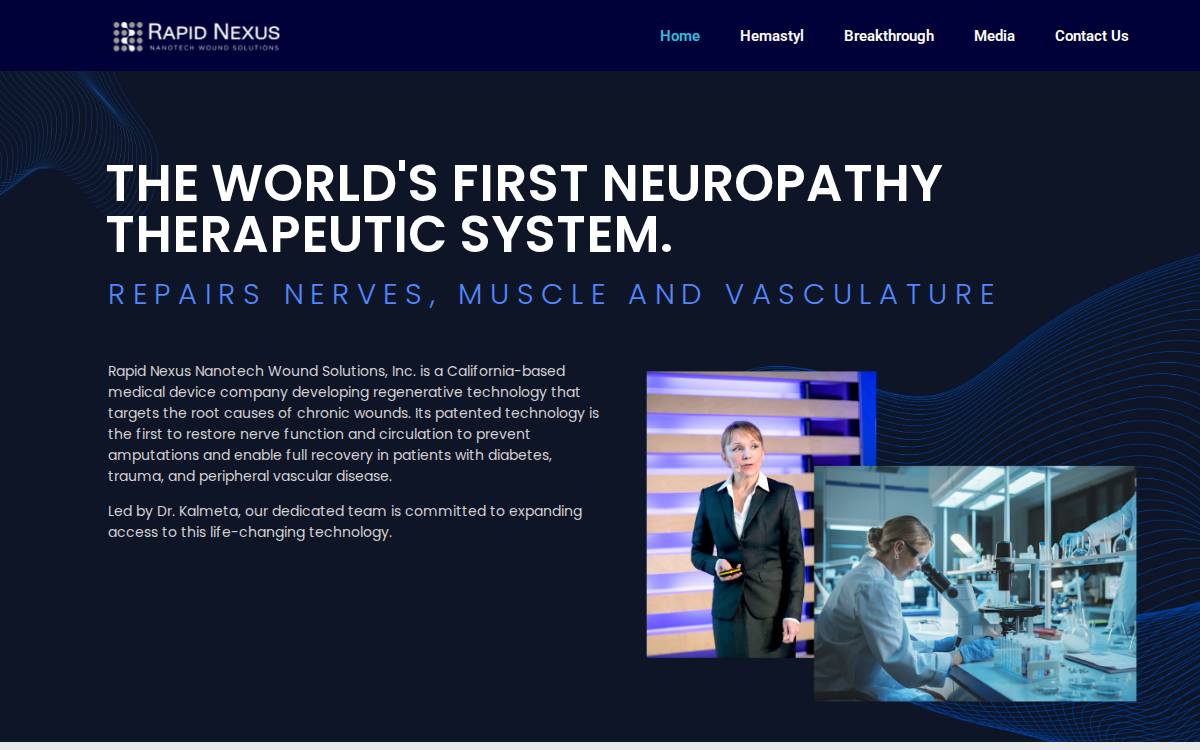 Rapidnexus website preview