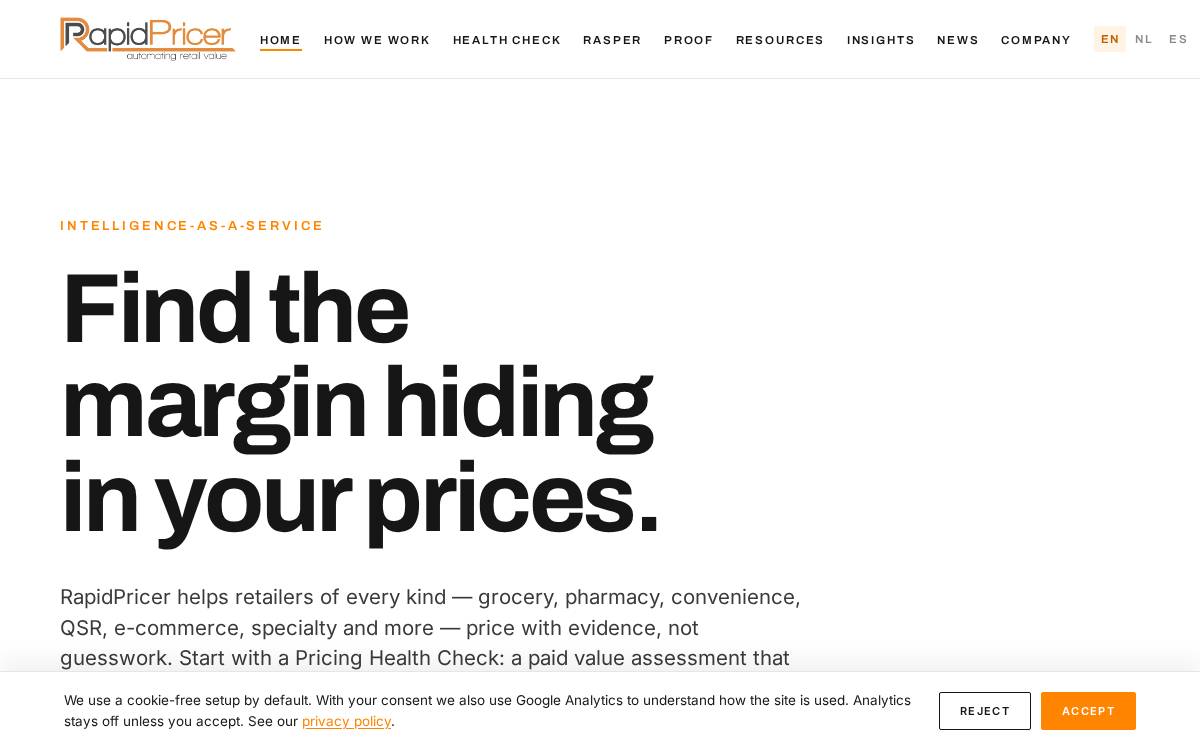 RapidPricer website preview