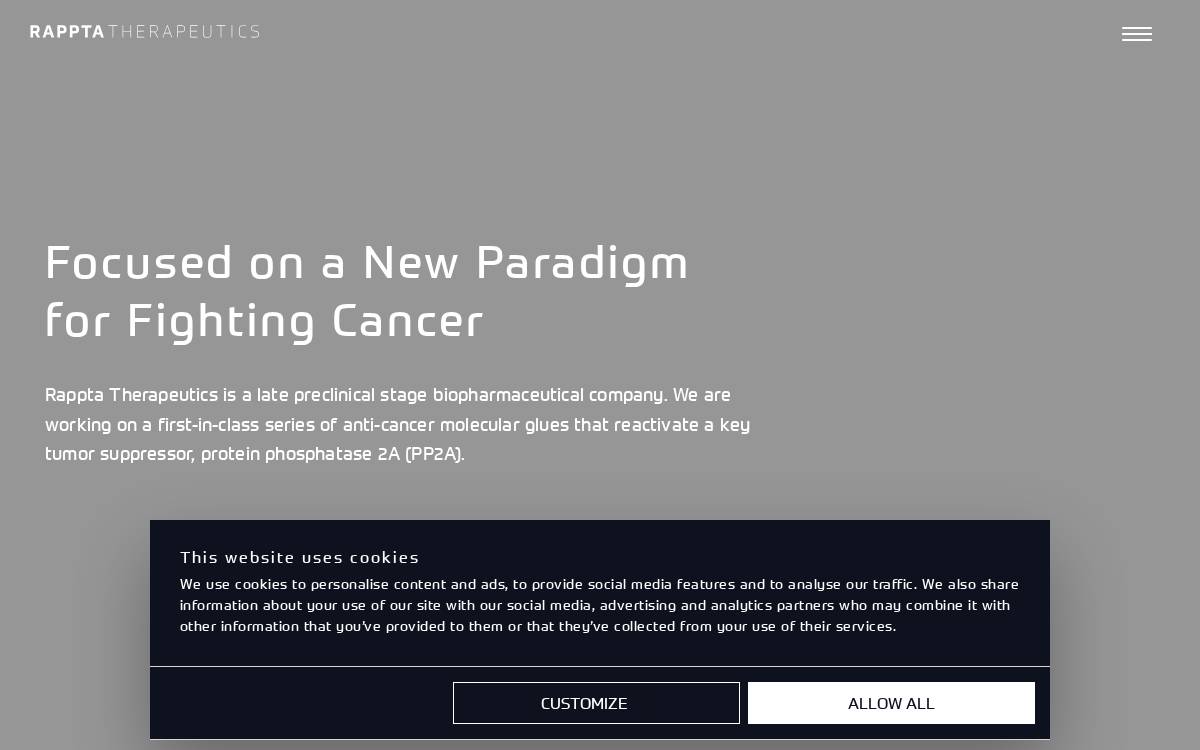 Rappta website preview