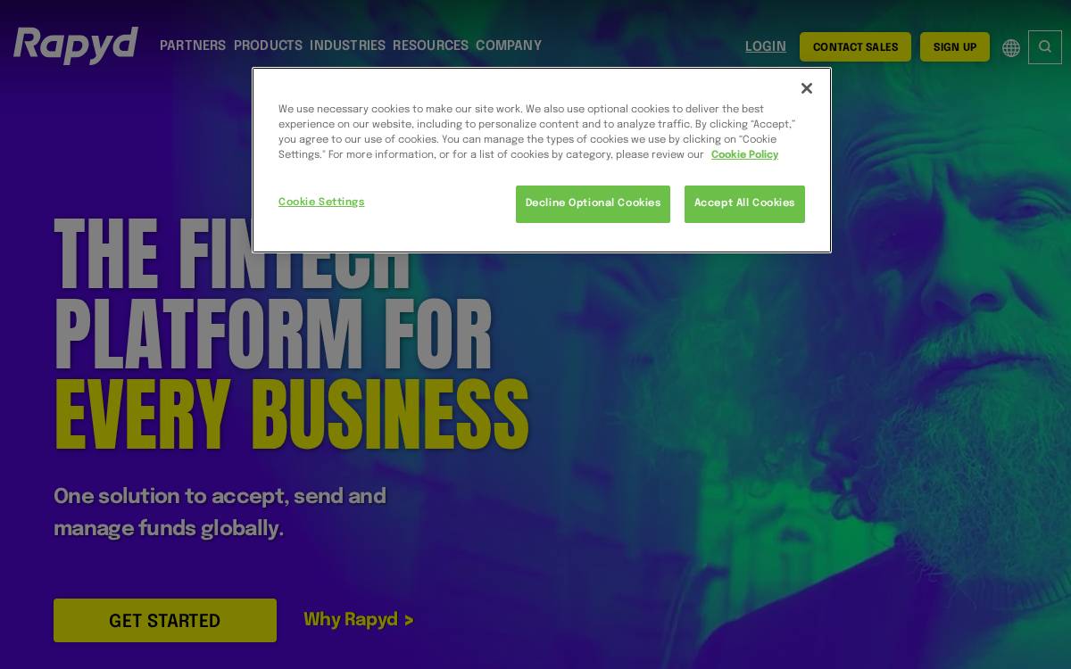 Rapyd website preview