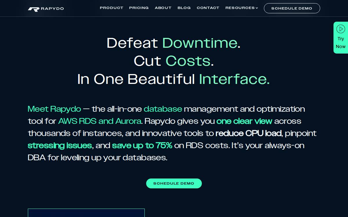 Rapydo website preview