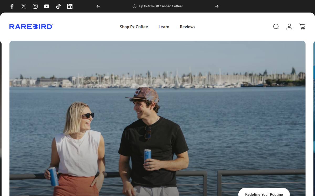 Rarebird website preview