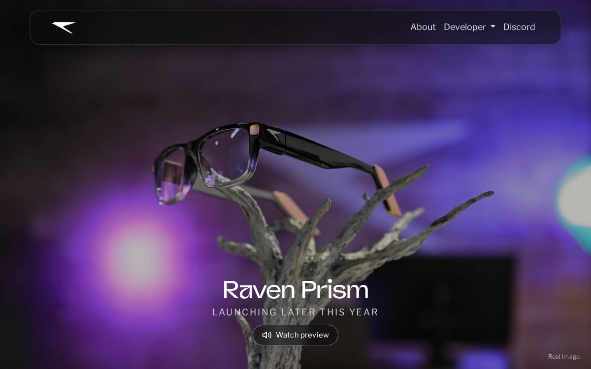Raven website preview