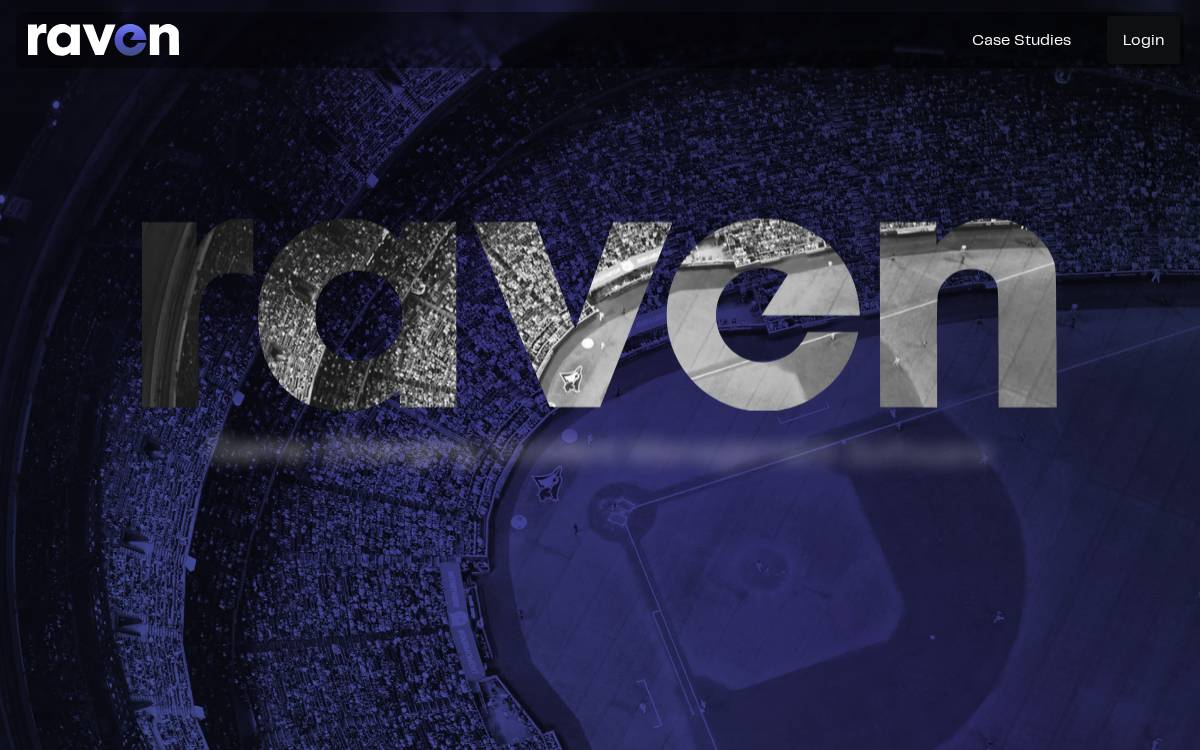 Ravencontrols website preview