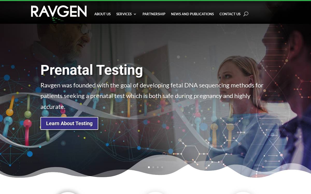 Ravgen website preview