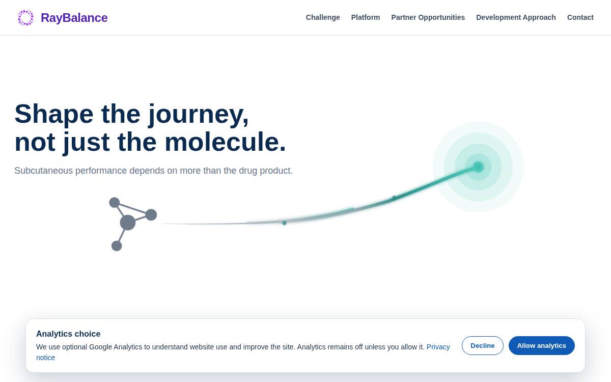 Raybalance website preview