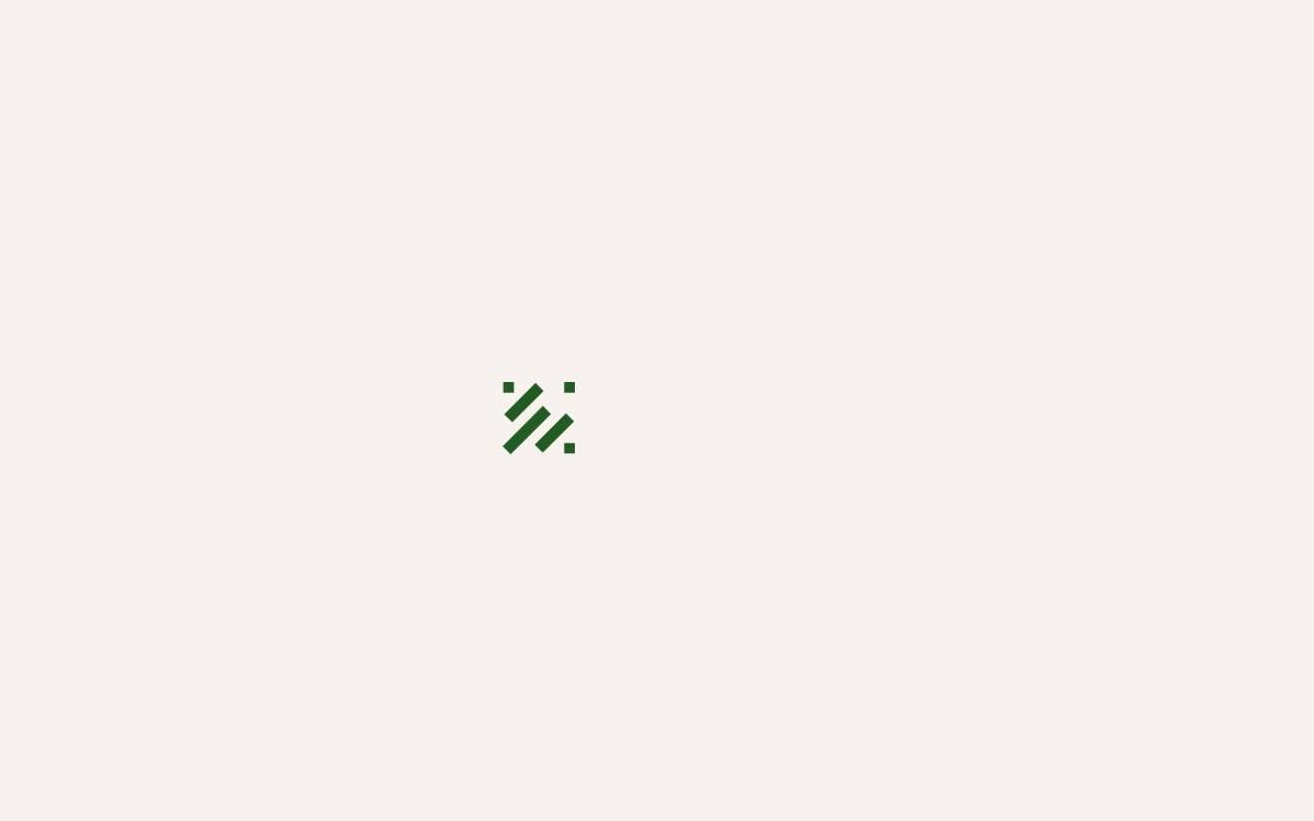 Raylu website preview