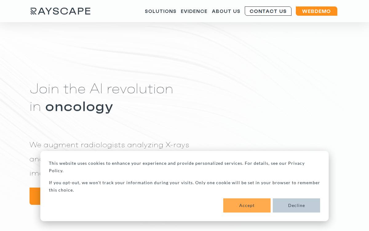 Rayscape website preview