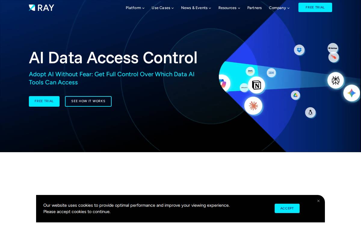 Ray Security website preview