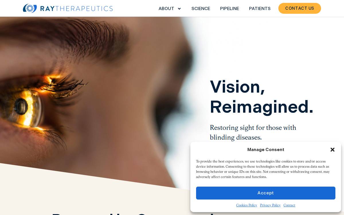 Raytherapeutics website preview