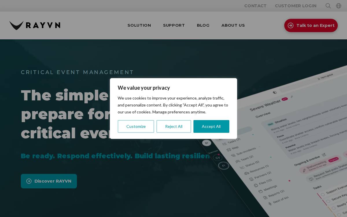 Rayvn website preview