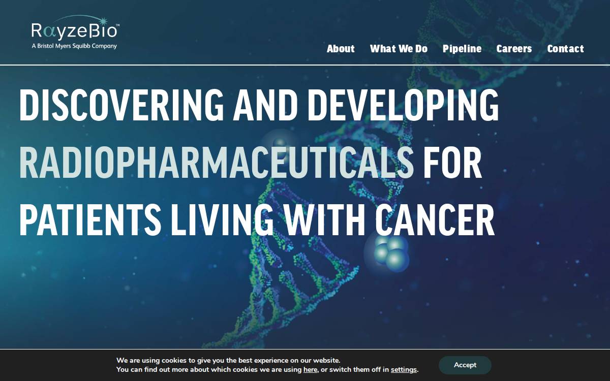 Rayze Bio website preview