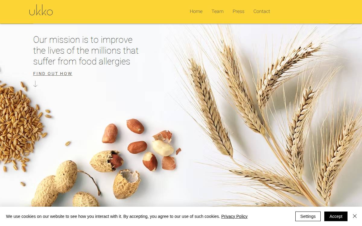 Ukko website preview