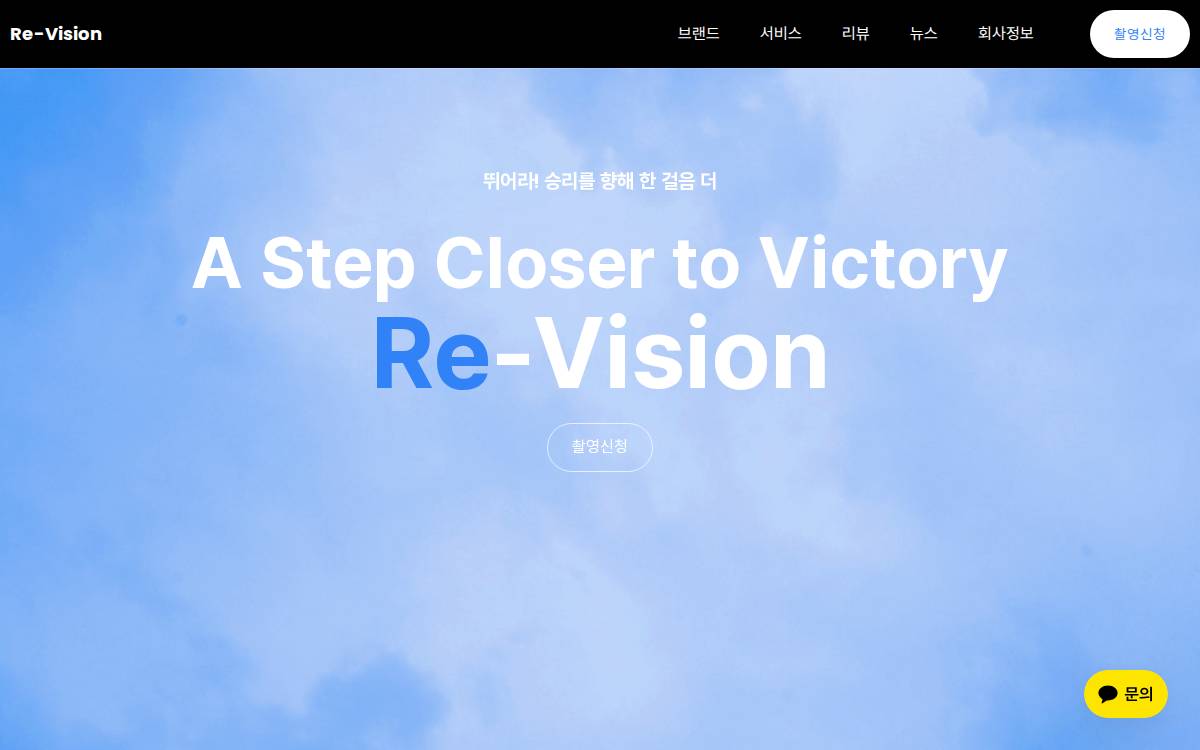 Re Vision website preview