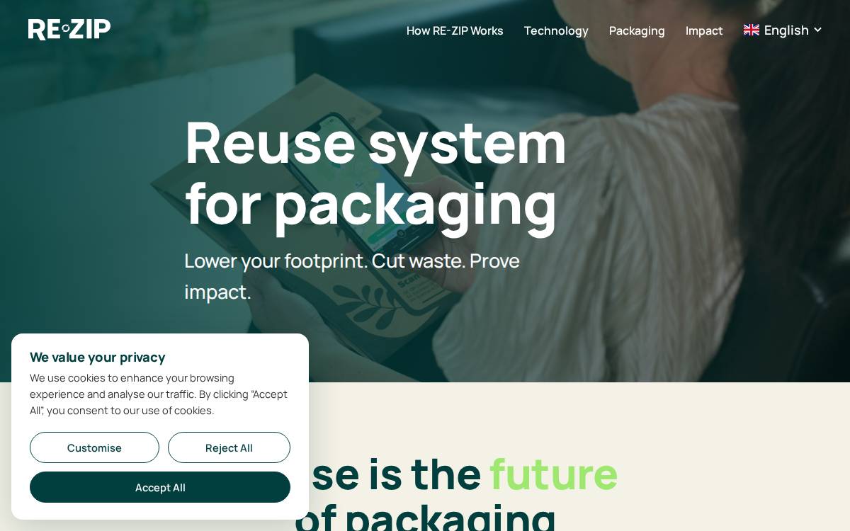 Re Zip website preview