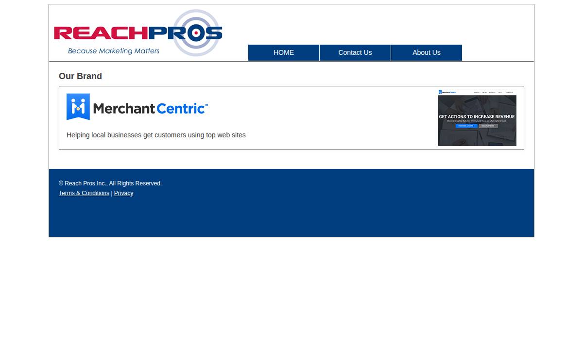 Reach Pros website preview