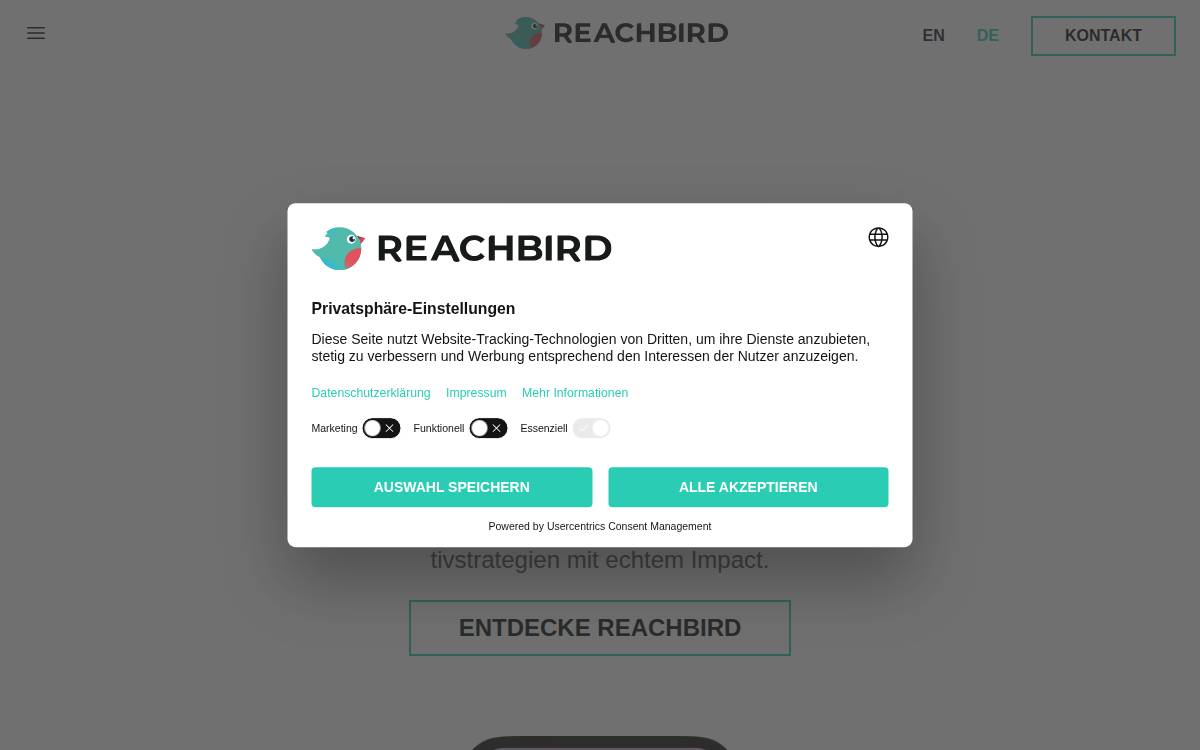 Reachbird website preview