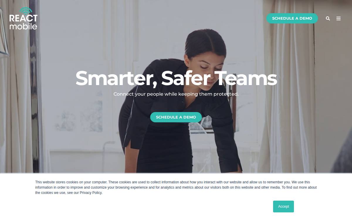 React Mobile website preview