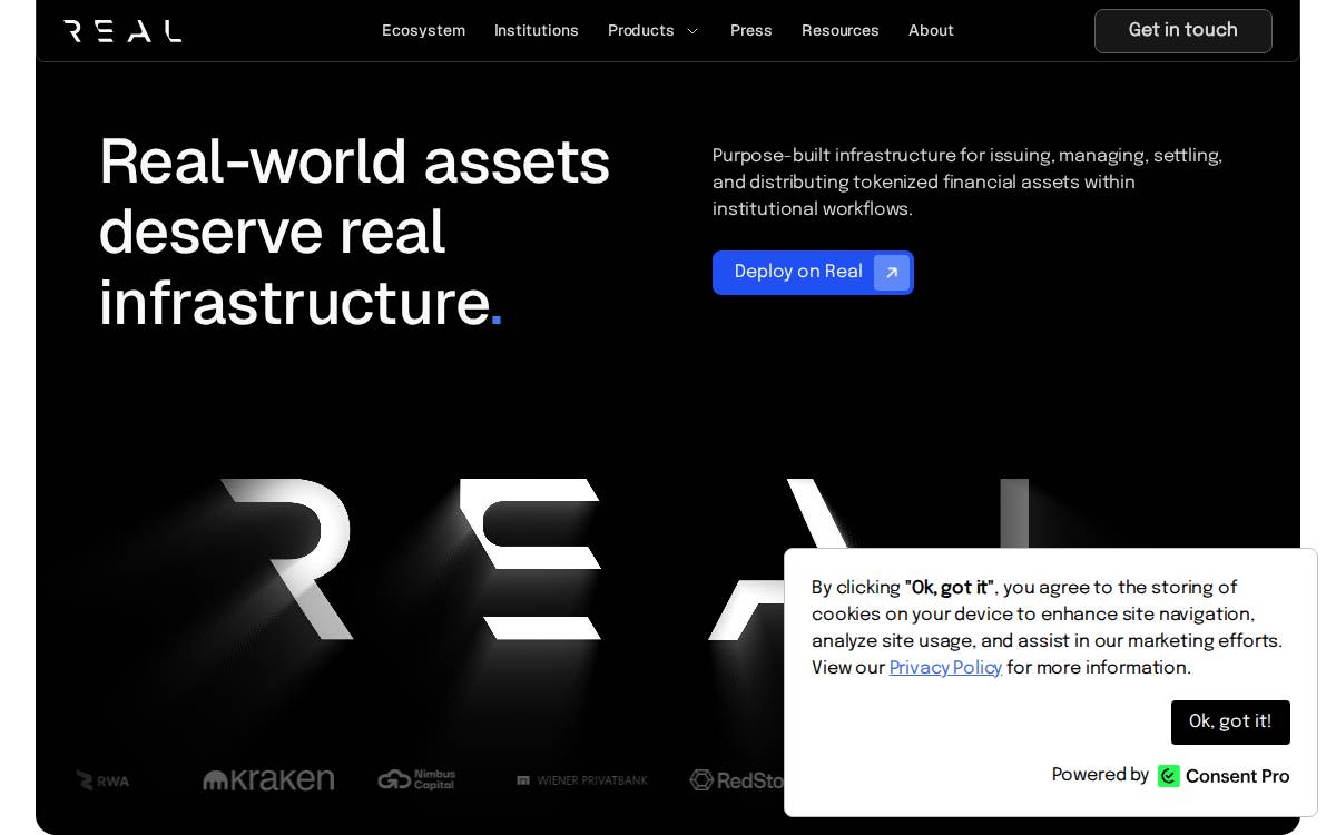 Realfin website preview