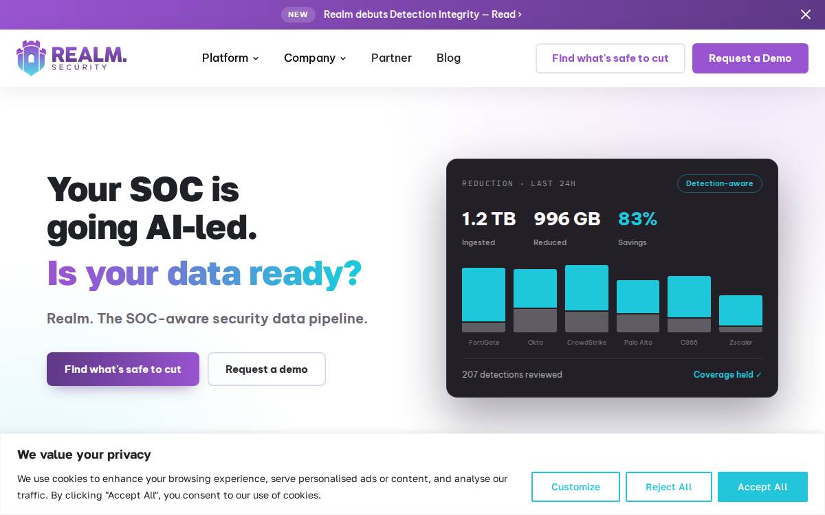 Realm Security, Inc. website preview