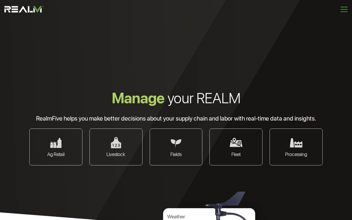 Realmfive website preview